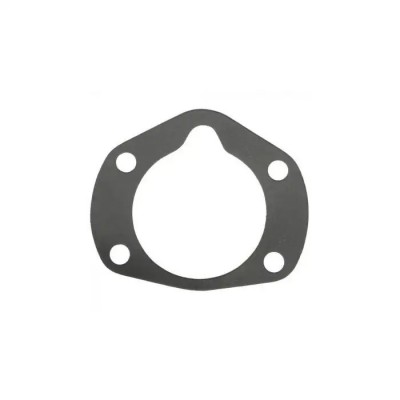 Rear Axle Bearing Retainer Outer Gasket